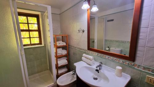 蓬塔戈尔达El Jócamo的一间带水槽、卫生间和镜子的浴室