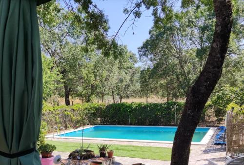 Casa Rural Viñas Perdidas内部或周边的泳池