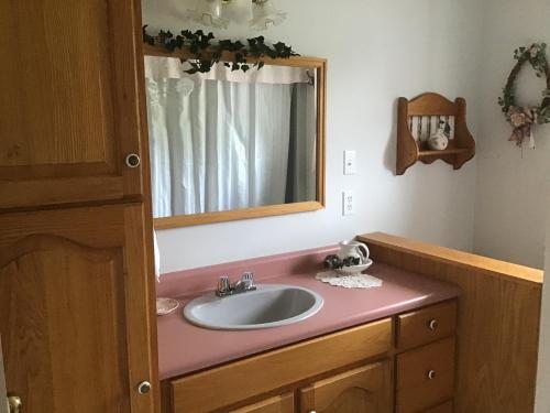 萨默赛德Guest Suites at Willowgreen Farm的一间带水槽和镜子的浴室