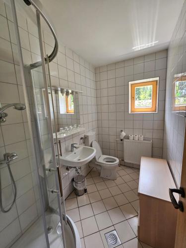 Čandrova koča的一间浴室