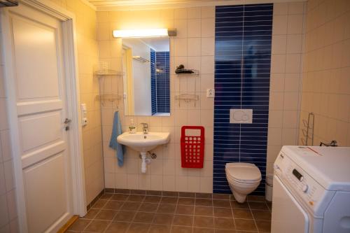 勒丁恩Arctic Panorama House的一间带水槽和卫生间的小浴室