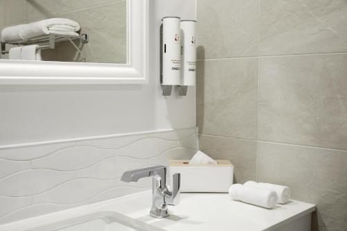 蒙特利尔罗比福酒店的一间带水槽和镜子的浴室