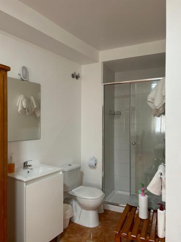 科巴罗A Casa de Santos的白色的浴室设有卫生间和淋浴。