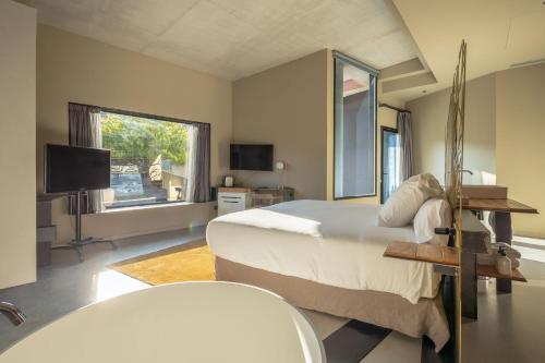 比利亚布纳德阿拉瓦维尤拉酒店的一间卧室配有一张大床和电视