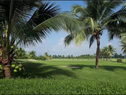 清迈中泰一家亲的两棵棕榈树,在田野上,在高尔夫球场