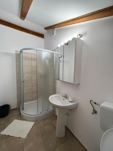 布朗CASA MARA CHALET & SPA Bran的带淋浴和盥洗盆的浴室