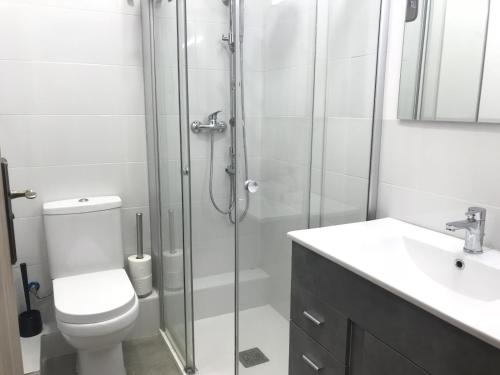 瓦伦西亚BorrullApart的带淋浴、卫生间和盥洗盆的浴室