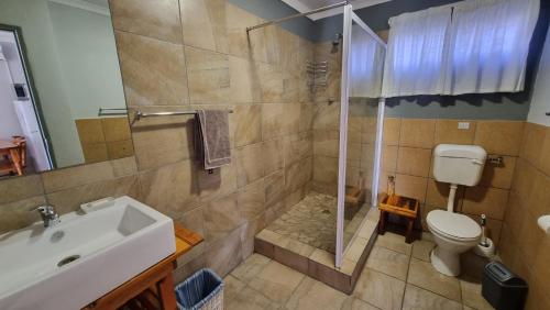 VanrhynsdorpBotuin Cottages的带淋浴、卫生间和盥洗盆的浴室