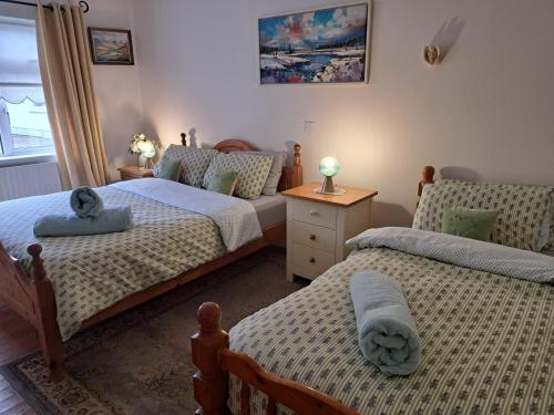 塔拉莫尔Coreen Guest House的一间卧室设有两张单人床和一个窗户。