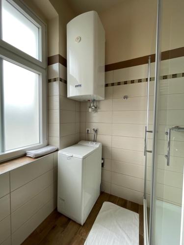 克拉根福Stadtapartment WOHNEN48.AT的浴室配有卫生间、盥洗盆和淋浴。