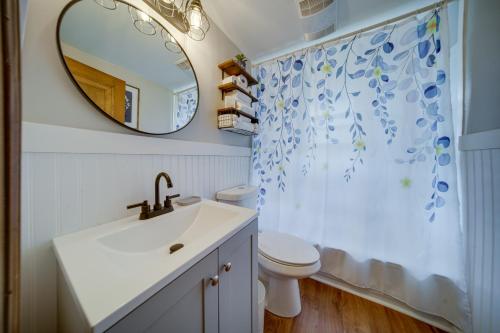 伊利Central Erie Vacation Rental about 2 Mi to Beach!的一间带水槽、卫生间和镜子的浴室