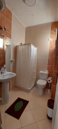 赫尔格达Villages road & promenade apartments的浴室配有卫生间、淋浴和盥洗盆。