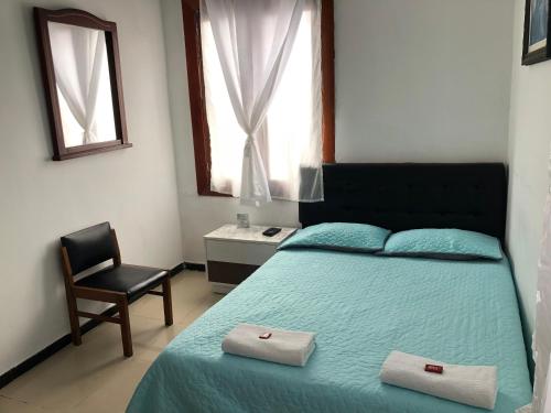马尼萨莱斯Hotel Clasico的卧室配有床、椅子和窗户。