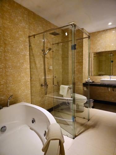 巴淡岛中心Grand Sydney Hotel的带浴缸、卫生间和淋浴的浴室。