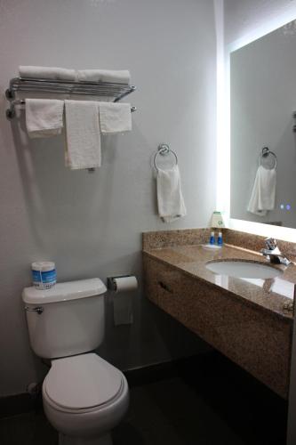 海沃德罗德威房酒店的一间带卫生间、水槽和镜子的浴室