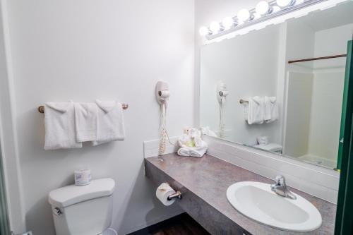 维克托坦顿山谷汽车旅馆的一间带水槽、卫生间和镜子的浴室