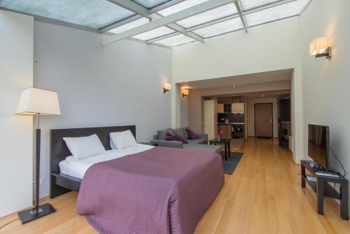 奈达帕尼斯欧卡帕公寓的一间卧室设有一张床和一间客厅。