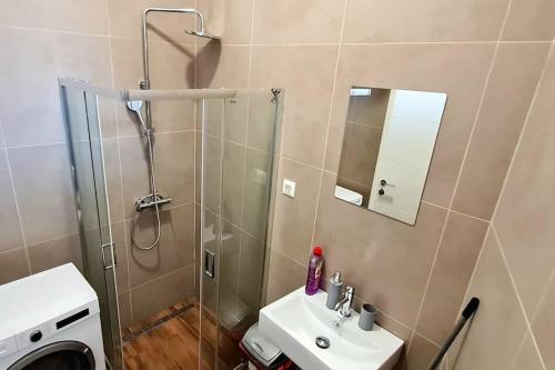 ZemunAmar 3的带淋浴、盥洗盆和镜子的浴室
