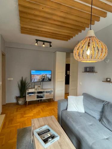 贝尔格莱德Apartment Cerska MRB的带沙发和电视的客厅