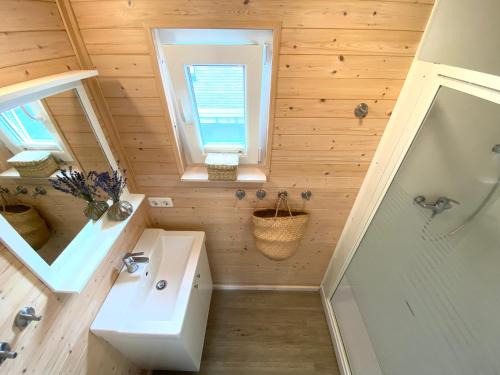 海利根港Hausboot Yara am Steg 1D的一间带水槽和淋浴的小浴室
