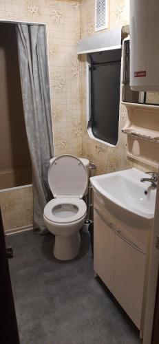 JedwabnoU Gosi的浴室配有白色卫生间和盥洗盆。