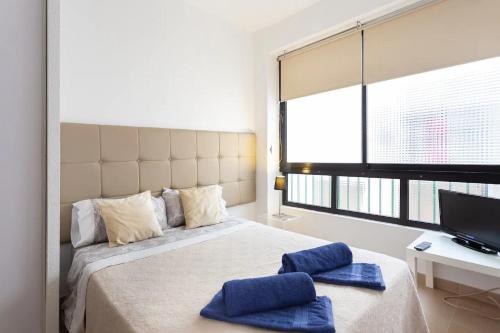 圣克鲁斯-德特内里费Plaza del Príncipe的一间卧室配有一张大床和两个蓝色枕头