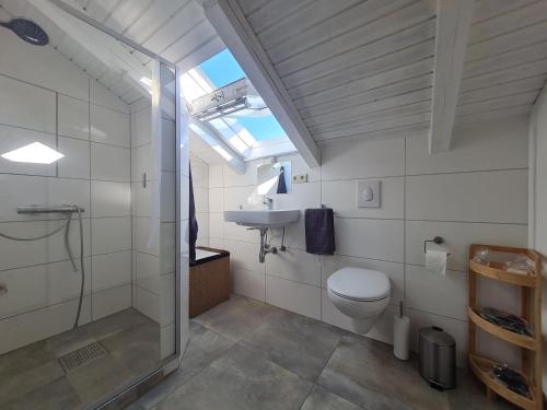 罗森海姆Alpenblick Pang的带淋浴、卫生间和盥洗盆的浴室