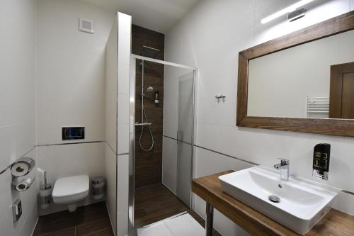 迪马诺卡多林纳Penzión JANÍK JASNÁ的一间带水槽、淋浴和镜子的浴室