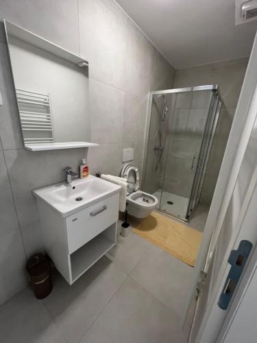 波尔托罗APARTMENTS EDWINA的一间带水槽、淋浴和卫生间的浴室