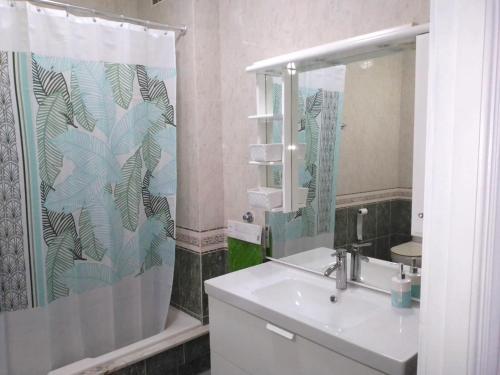 格罗韦Aires do mar的一间带水槽和淋浴帘的浴室