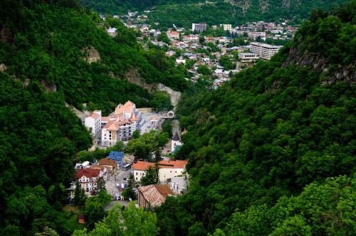 博尔若米Borjomi Classic Hotel的山中的一个城镇