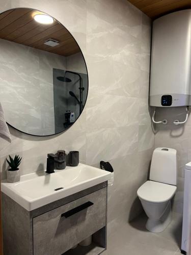 沃鲁Kreutzwaldi Kodu 2的一间带水槽、镜子和卫生间的浴室
