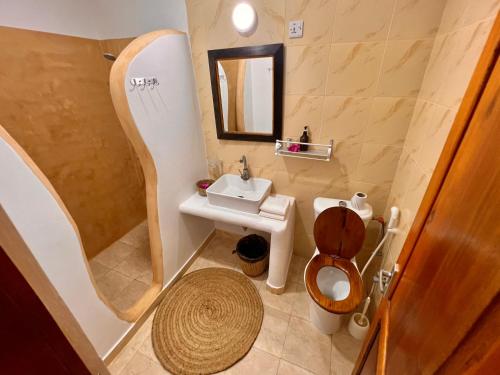 吉汶瓦Stone Resort的一间带水槽和卫生间的小浴室