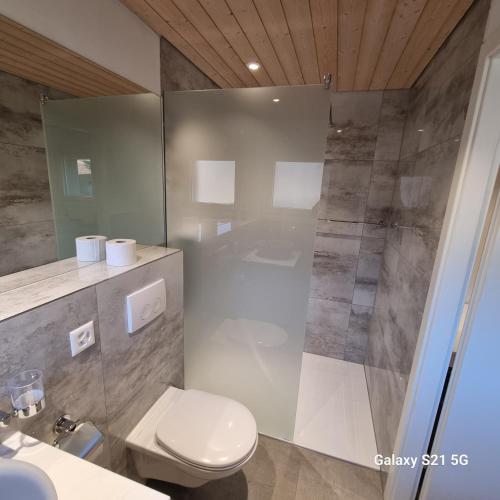维尔德斯韦尔Mountain - Lake Apartment 3的带淋浴、卫生间和盥洗盆的浴室