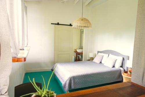 普拉纳维瑙Venao Surf Lodge的一间卧室配有一张床和盆栽植物