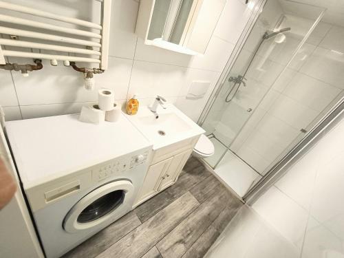 吕塞尔斯海姆FMI44Apartment的一间带洗衣机和淋浴的浴室