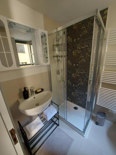 亚历山德里亚La casina in città - The little flat in town的一间带水槽和玻璃淋浴的浴室