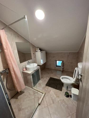 比哈奇Prenoćište-Sobe-Rooms-Aman的带淋浴、盥洗盆和卫生间的浴室
