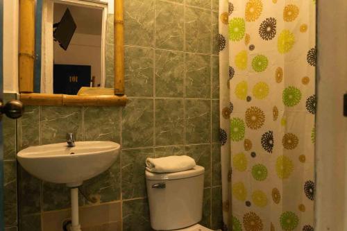 帕拉卡斯BUGANVILIA的一间带水槽、卫生间和镜子的浴室
