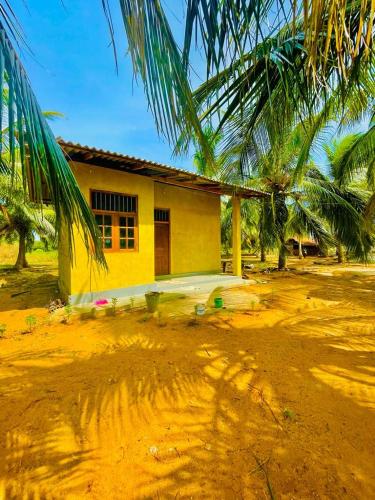 GalgeLIFE OF COCO的一座黄色房子,前面有一棵棕榈树