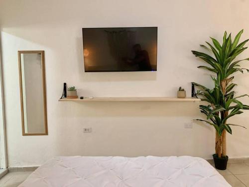 圣何塞德尔卡沃Casa Añuiti céntrica ubicación.的一间在墙上放着电视的房间,墙上挂着植物