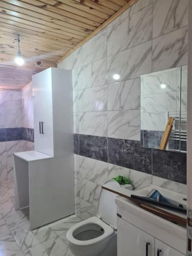 伊斯坦布尔İstanbulun merkezinde lüx 2 odalı daire的浴室配有白色卫生间和盥洗盆。