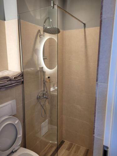 奥内什蒂Studio Home的浴室设有玻璃淋浴间和卫生间