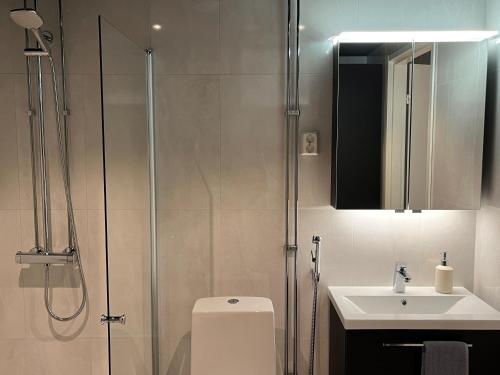 于韦斯屈莱Tikka Apartments的带淋浴、卫生间和盥洗盆的浴室