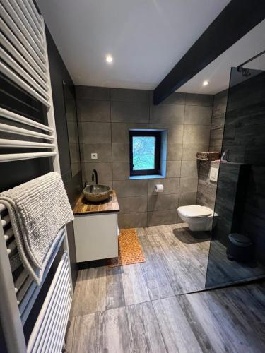 马尔梅迪Forester的浴室配有卫生间、盥洗盆和淋浴。