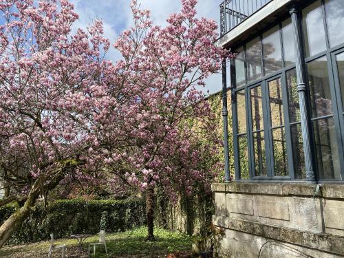 里摩日La Villa Beaupeyrat - Apparthôtels de charme dans bâtisse de caractère的一座建筑物旁一棵有粉红色花的树