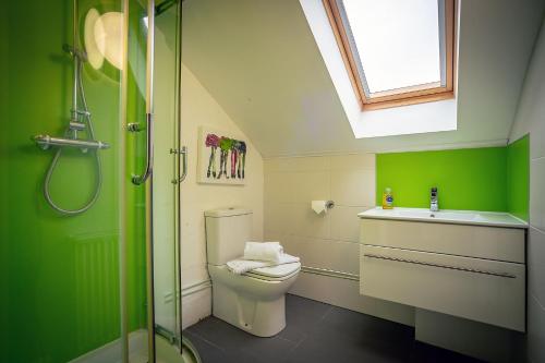 InshKirkstone Lodge的绿色浴室设有卫生间和水槽
