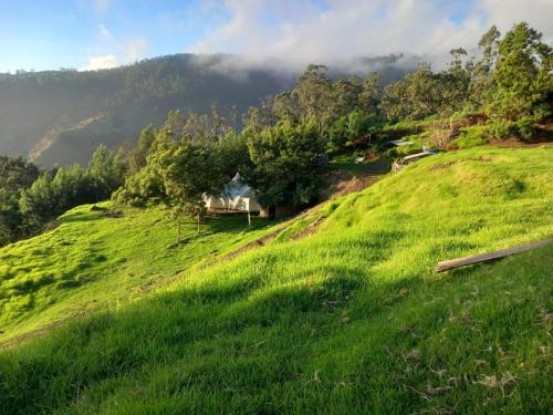 TábuaArambha Ecovillage Permaculture Farm的绿色的草地山丘,上面有房子