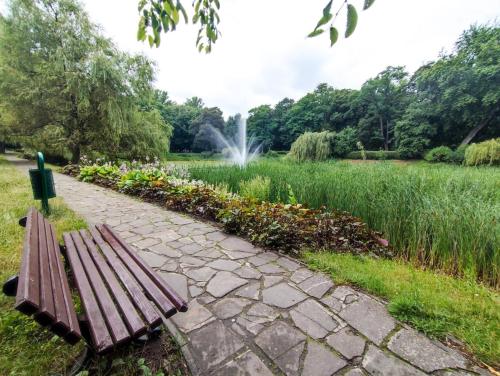 霍茹夫Silesia Comforts Katowice, Chorzów SELF CHECK的公园长椅,坐在带喷泉的田野旁边