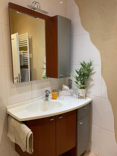 欧本Apart Loten的一间带水槽和镜子的浴室